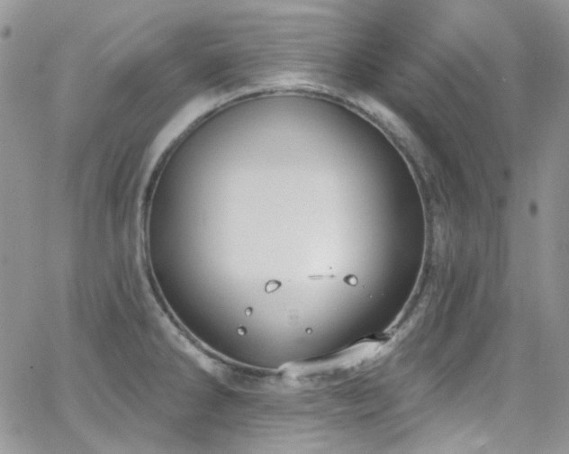 X0000062141286200512091206