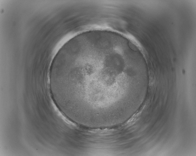 X0000062141287200512091206