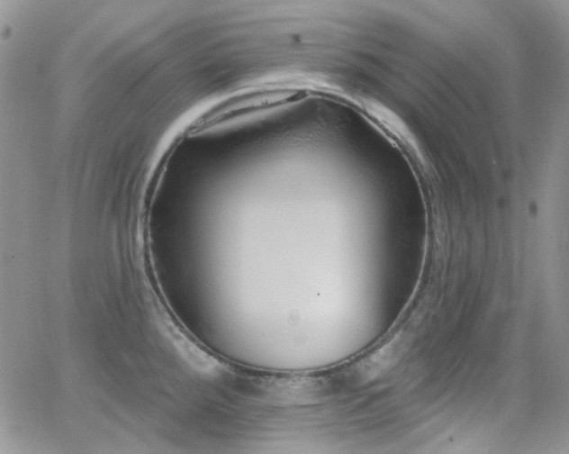 X0000062141288200512091206