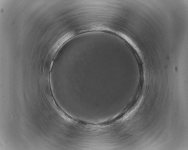 X0000062141289200512091206