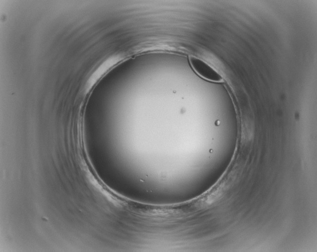 X0000062141290200512091205