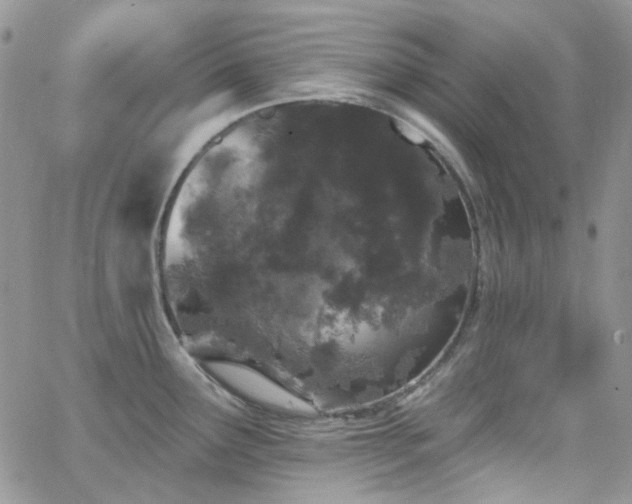 X0000062141291200512091205