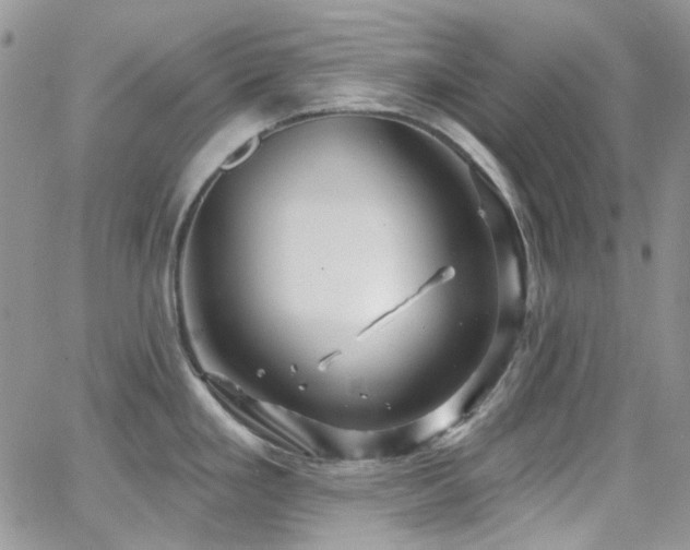 X0000062141293200512091205