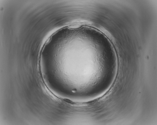 X0000062141296200512091205