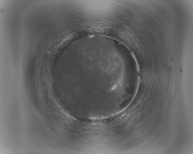 X0000062141297200512091204