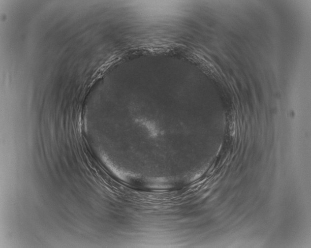 X0000062141298200512091205