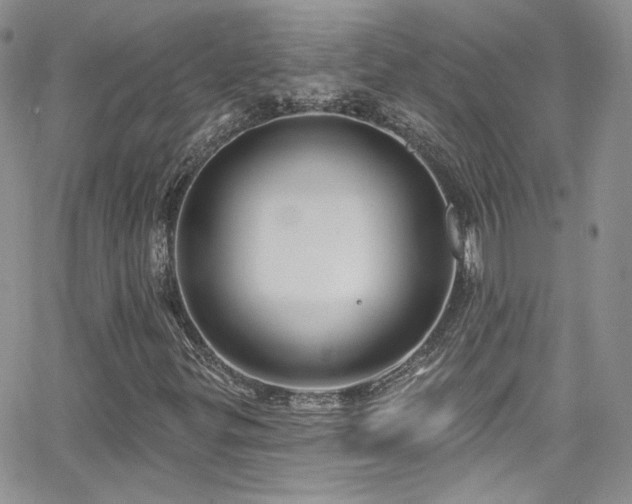 X0000062141299200512091205