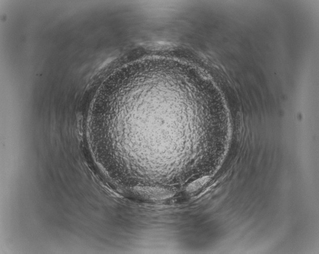 X0000062141301200512091205