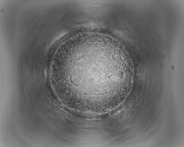 X0000062141302200512091205