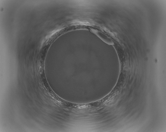 X0000062141303200512091205