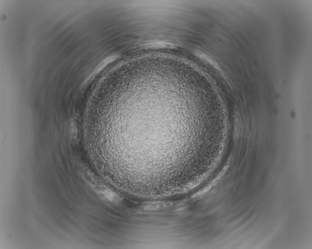 X0000062141305200512091205