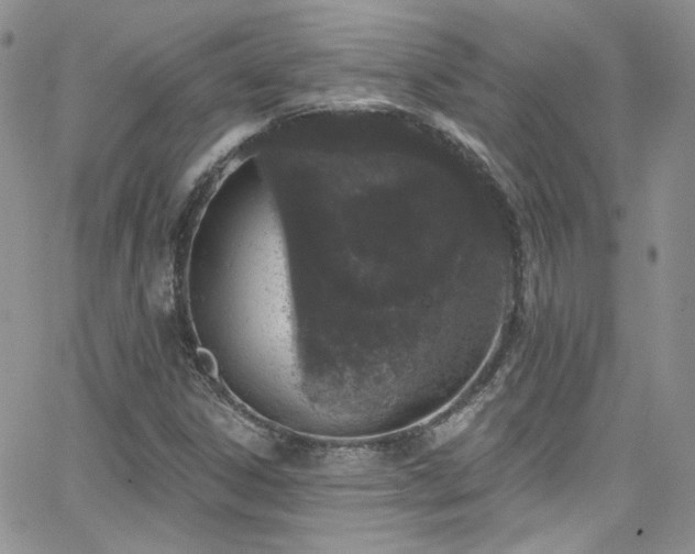 X0000062141306200512091205