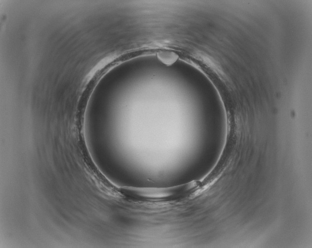 X0000062141308200512091205