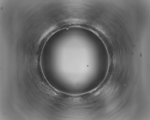 X0000062141309200512091205