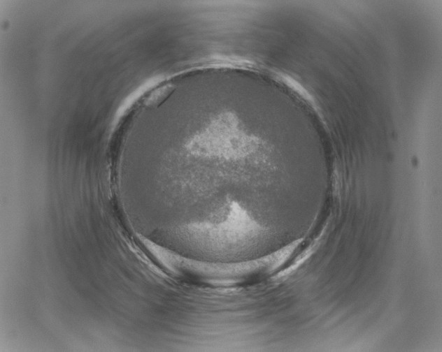 X0000062141310200512091205