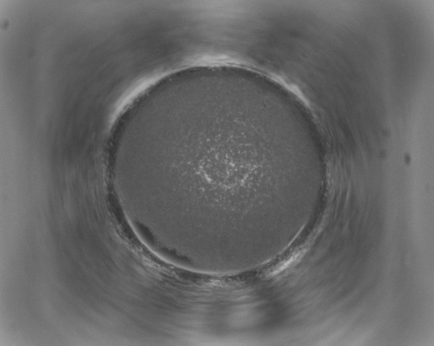 X0000062141311200512091205