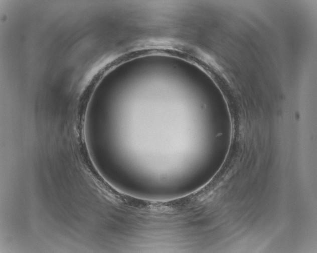 X0000062141312200512091205