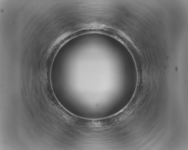 X0000062141315200512091205