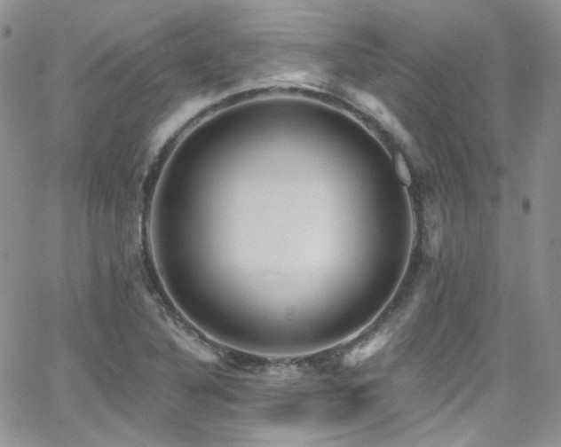 X0000062141316200512091205