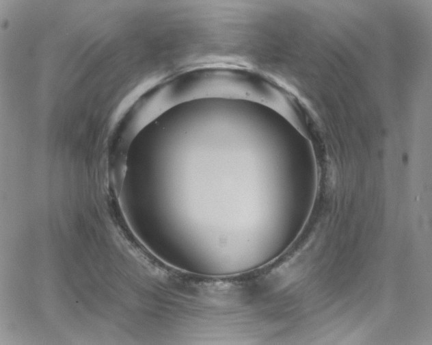 X0000062141317200512091205