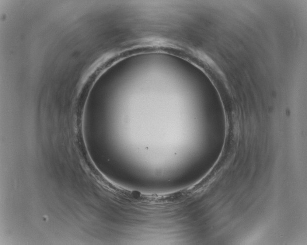 X0000062141318200512091205