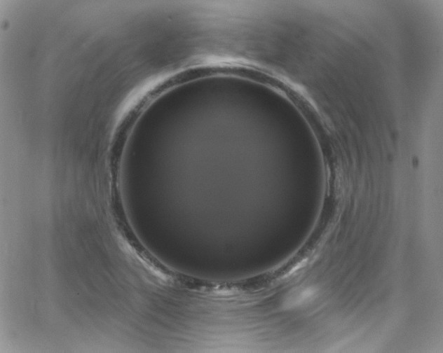 X0000062141319200512091205