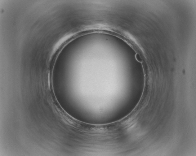 X0000062141320200512091205