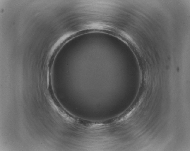 X0000062141323200512091205