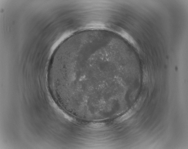 X0000062141325200512091205