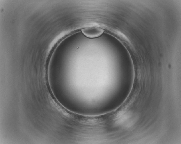 X0000062141326200512091205