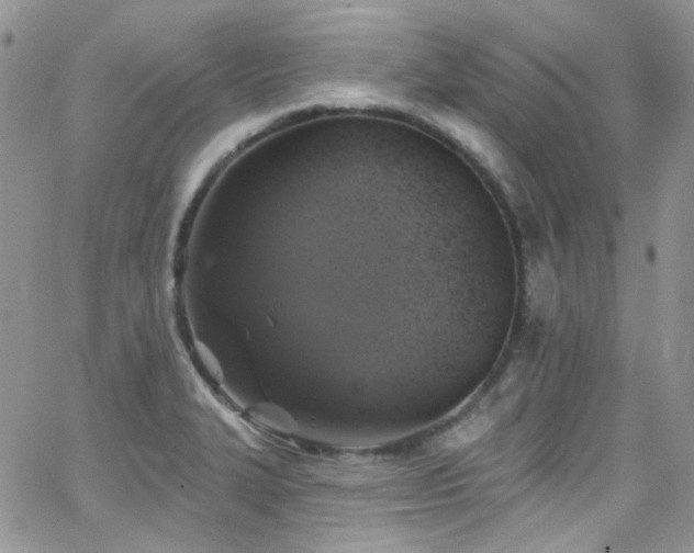 X0000062141327200512091205