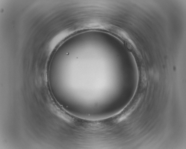 X0000062141328200512091205