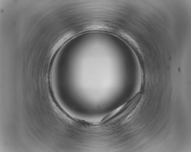 X0000062141330200512091205