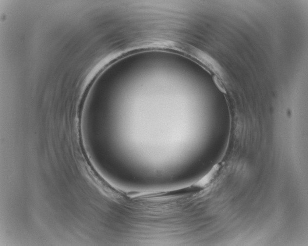 X0000062141332200512091205