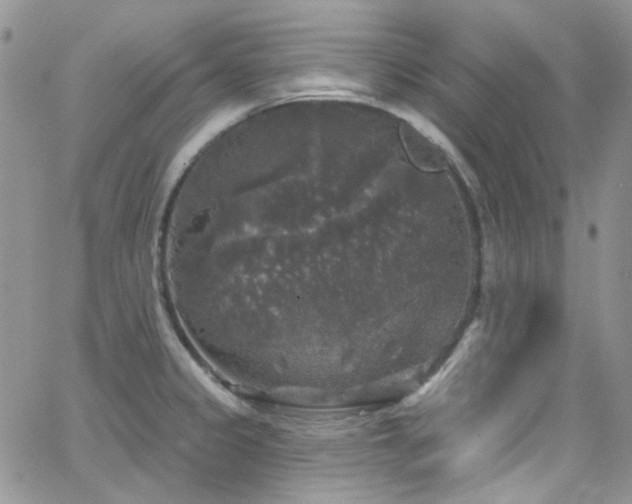 X0000062141333200512091205