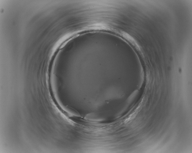 X0000062141334200512091205