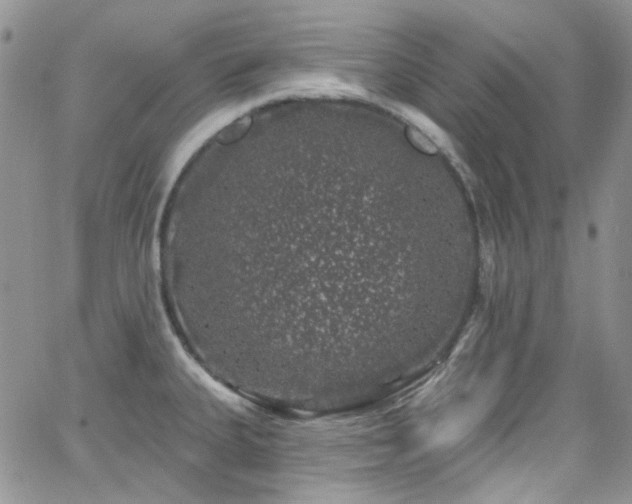 X0000062141335200512091205