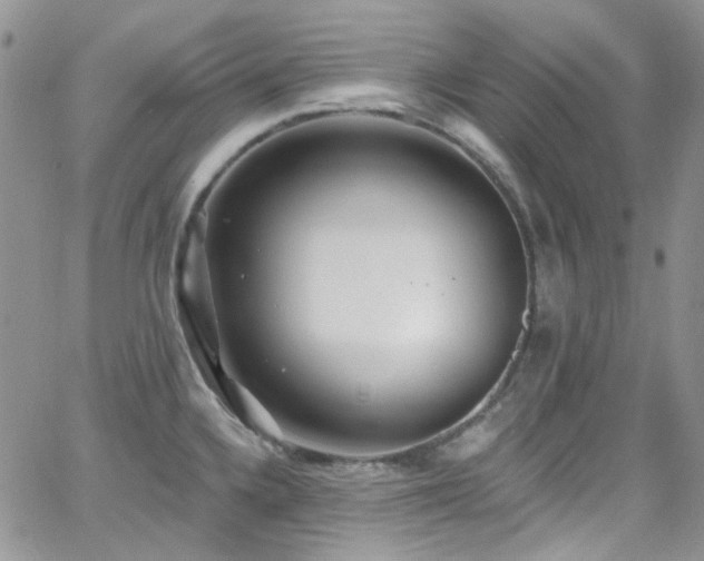 X0000062141336200512091205