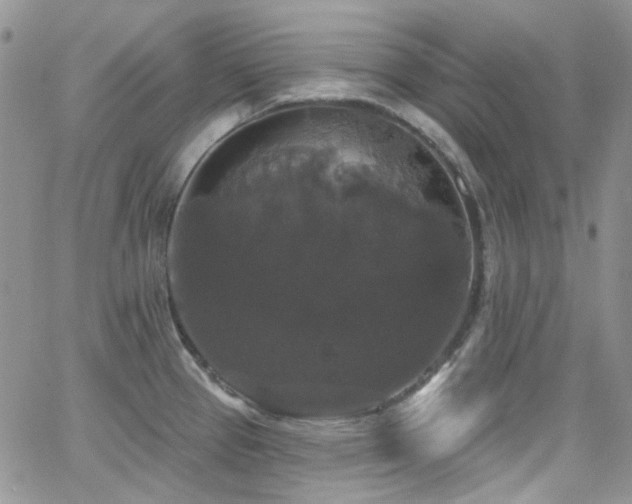 X0000062141337200512091205