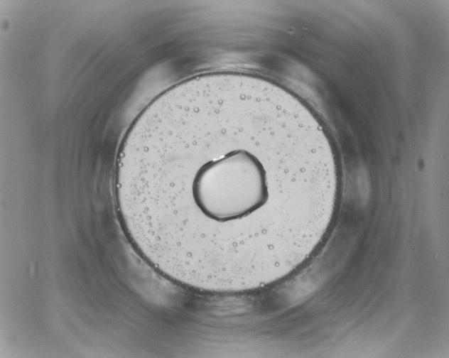 X0000062141338200512091205