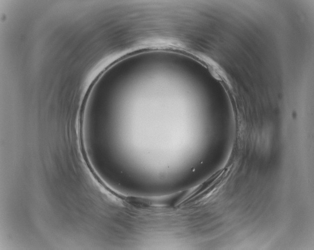 X0000062141343200512091205