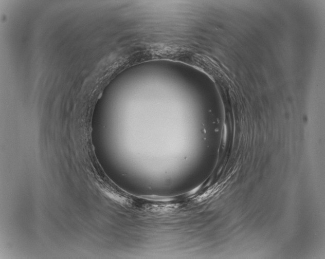 X0000062141345200512091204