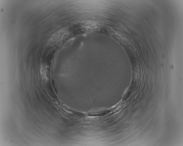 X0000062141346200512091204