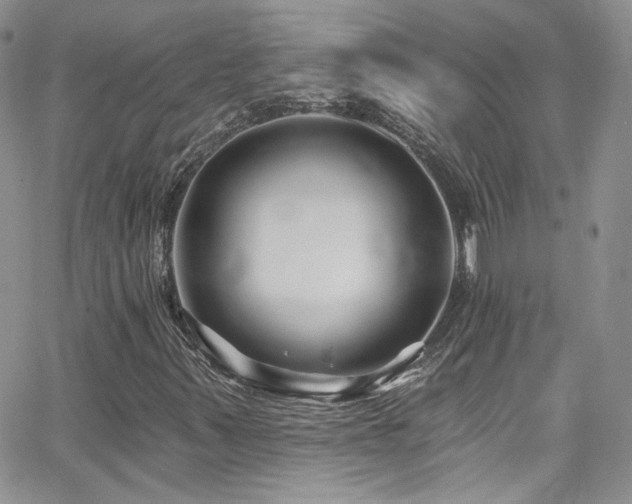 X0000062141347200512091204