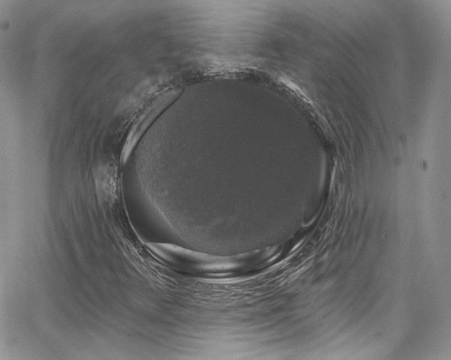 X0000062141348200512091204