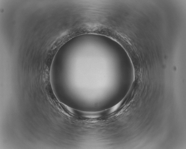 X0000062141349200512091204