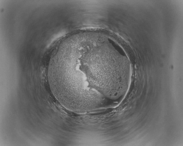 X0000062141351200512091204