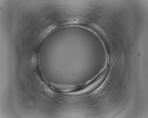 X0000062141353200512091204