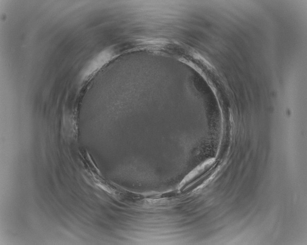 X0000062141354200512091204