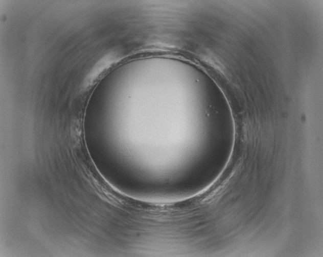 X0000062141355200512091204